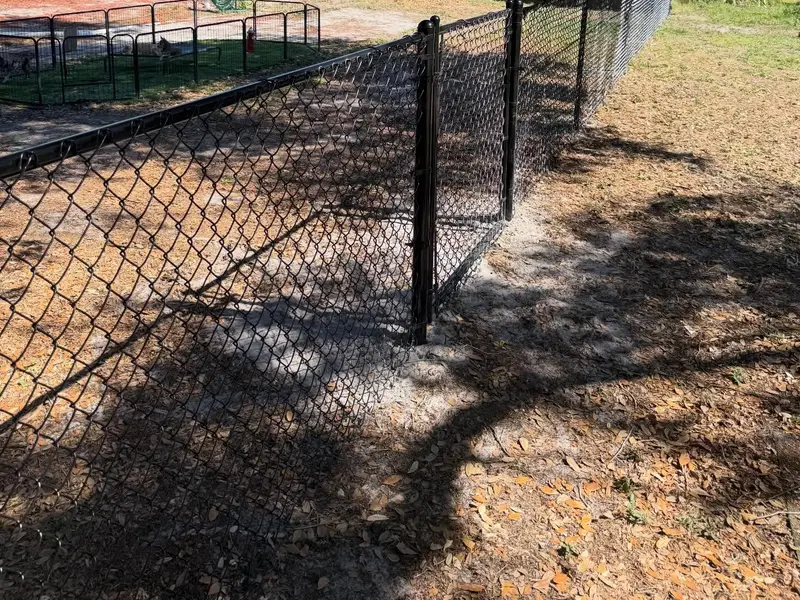 Black chain link fence installed in Tampa, FL